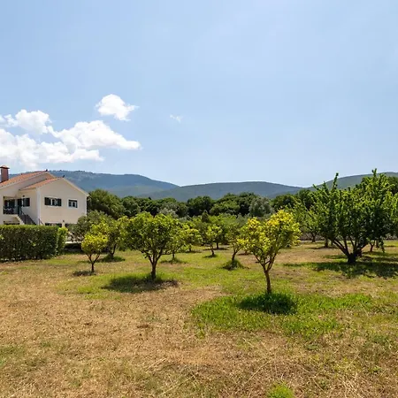 Arte Nefeli Βίλα Σάμη